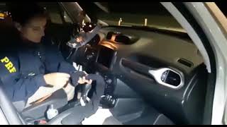 PRF apreende milhares de dólares escondidos no teto de carro, na BR-116, em Turuçu 