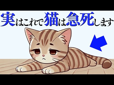 猫の動画サムネイル - 【猫が急死する原因】 猫の雑学 #猫 #ねこ