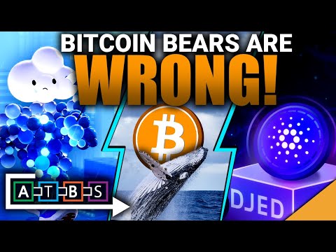 Bitcoin Bears are WRONG! (Exclusive Insight on Cardano Stablecoin)