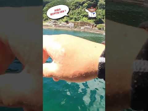 次回の釣りやりまっせは？　#shorts