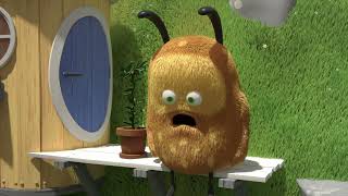 Kiwi a Strit 10 - Jablo