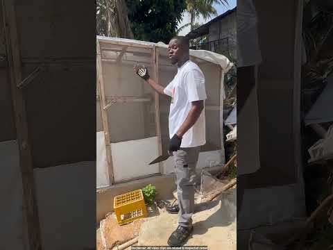 ⚡⚡ఇలాంటి పురుగుని పెంచడం మీరు చూసారా ⚡ Interesting facts