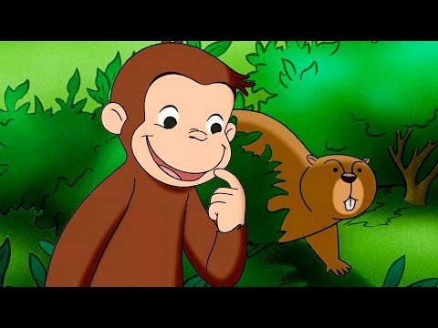 Czy to świstak!? | Ciekawski George | Bajki Po Polsku