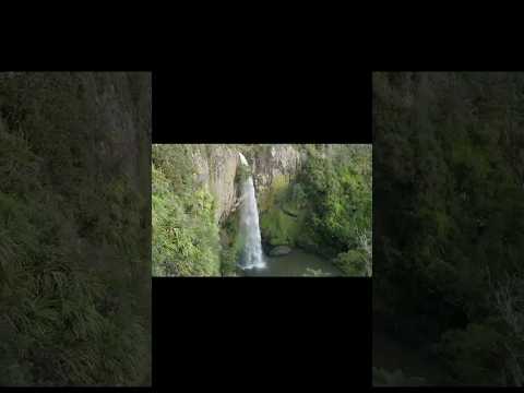 Rapid Water Fall|Picture that relax your mind #youtubeshorts #viral #waterfall #creativedesignbyssd