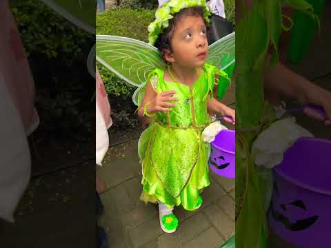 Trick or treat #happy Halloween 🎃