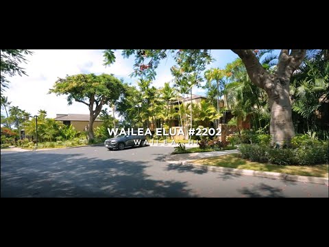 Property video