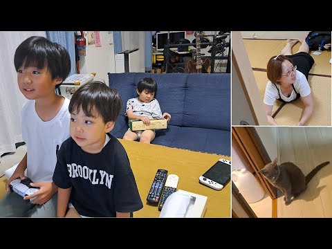 仲良し兄弟とダラけママと仲間になりたそうな灰色猫すずまろ