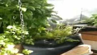 How often to change water in aquaponics Surviving climate chaos