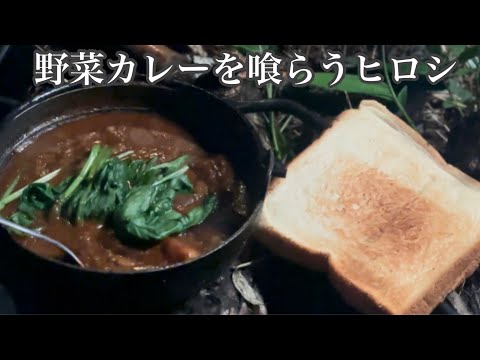 【ヒロシ】野菜カレーを喰らう【ヒロシ飯】