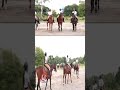 Telangana Police Horse Riding Training | V6News  - 01:33 min - News - Video