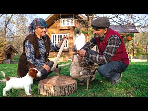Cooking Rustic Goose with Potatoes, Outdoor Cooking