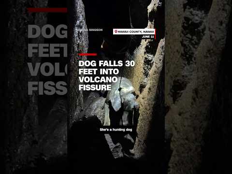 Dog falls 30 feet into a volcano fissure