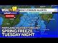 Spring freeze overnight in Maryland