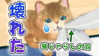 【悲報】猫じゃらし殉職