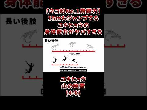 【ネコ科No.1跳躍力】15mもジャンプする、ユキヒョウの身体能力がヤバすぎる