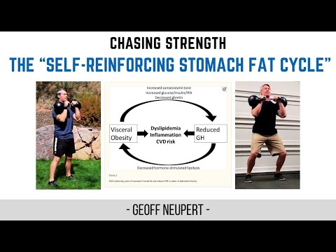 What is the “Self-Reinforcing Stomach Fat Cycle” and why’s it so dangerous?