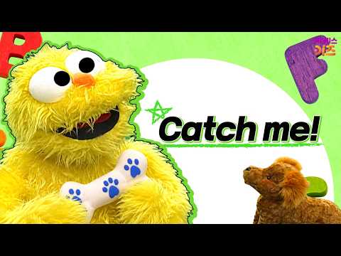 Catch me!ㅣ어린이 기초 영어ㅣ굿모닝 잉글리시ㅣTV유치원ㅣKBS 방송