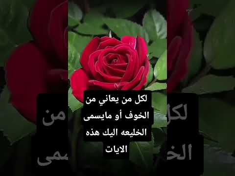 لكل من يعاني من الخوف أو مايسمى الخلعه اليك هذه الايات بأذن الله #قراقيش_فود #اكسبلور