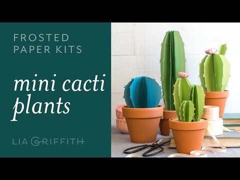 Frosted Paper Cactus: Easy to Use Paper Flower Kit for Beginners (full tutorial)
