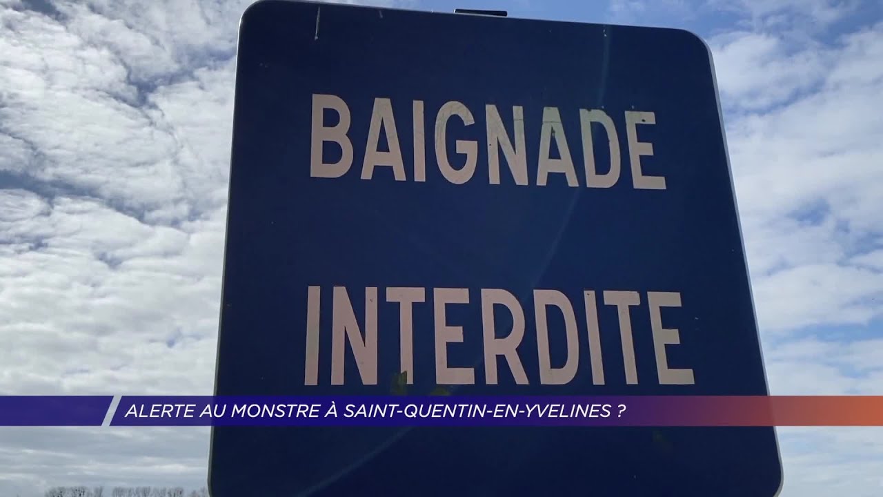 Yvelines | Alerte au monstre à Saint-Quentin-en-Yvelines ?