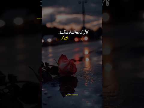 Bachpan ke din best lines for you 🤩💕 #shortsfeed #urdulines #bachpankiyaadein #whatsappstatus #fyp