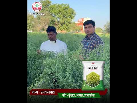 Super Seeds — अच्छी फसल का असली साथी | ज़्यादा उपज, ज़्यादा मुनाफ़ा