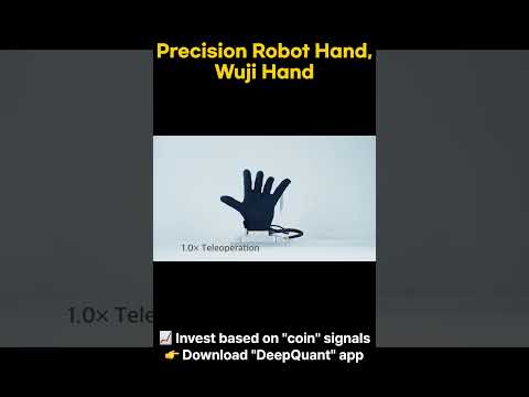 Precision Robot Hand, Wuji Hand