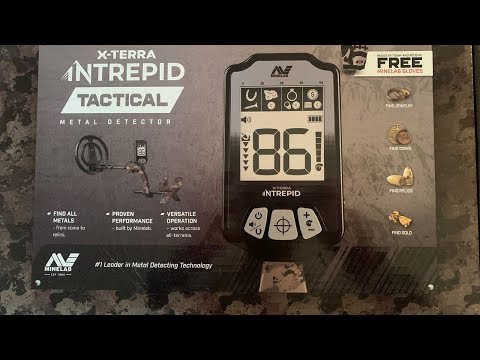 ХАЛЯВА!!!Самий дешевий металошукач MINELAB X TERRA INTREPID огляд та тест