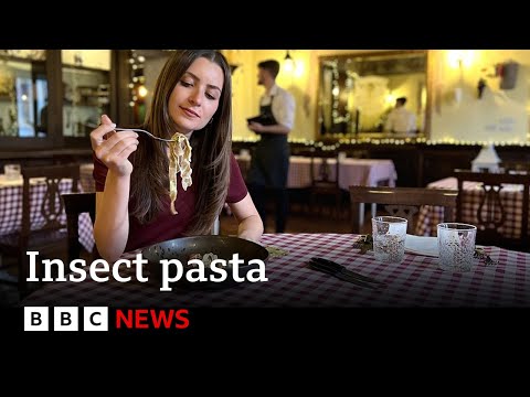 Italian food: Insect pasta divides diners - BBC News