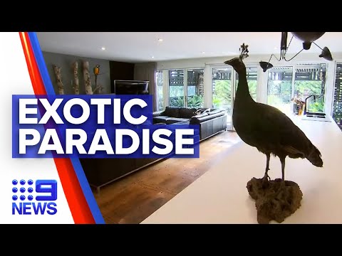 Multi-million dollar property packed with succulents for sale | 9 News Australia
