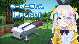 【Minecraft】アプ鯖編　うーぱーちゃんを増やすためには【蜂蜜ぷりん/ぶいぱい】
