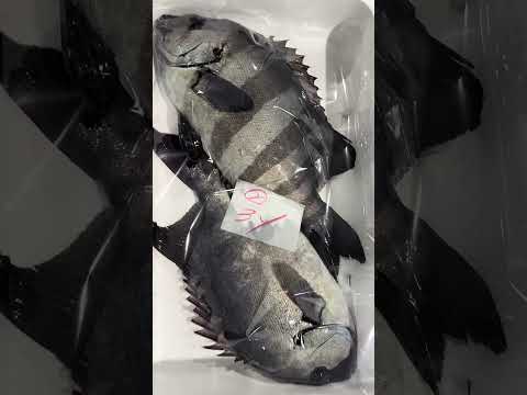 知ってな損やで編 vol731