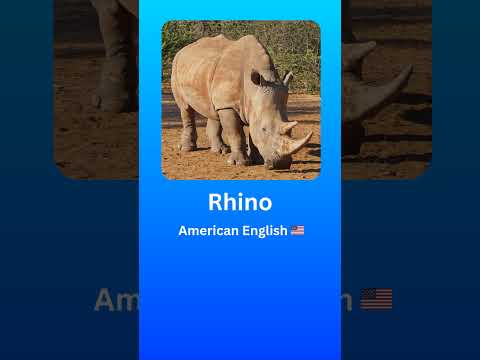 How to Pronounce Rhino (American English 🇺🇲) #2024 #language #pronunciation #english #rhino