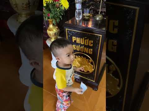 Bỏ thùng công đức| Tiger 19m16d