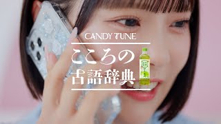動画サムネイル