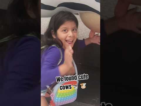 Milk the cows or noo?