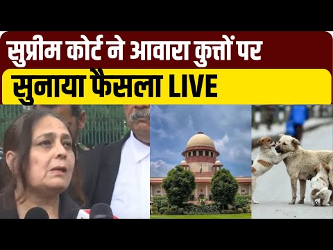 Supreme Court Stray Dogs Verdict Live Updates: आवारा कुत्तों पर 'सुप्रीम' फैसला | Jantar Mantar