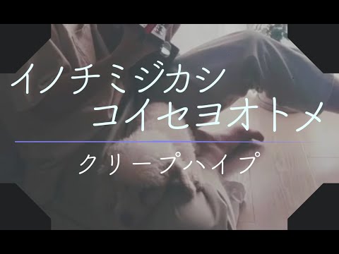 癒しボイスの イノチミジカシコイセヨオトメ / クリープハイプ 弾き語り #shorts
