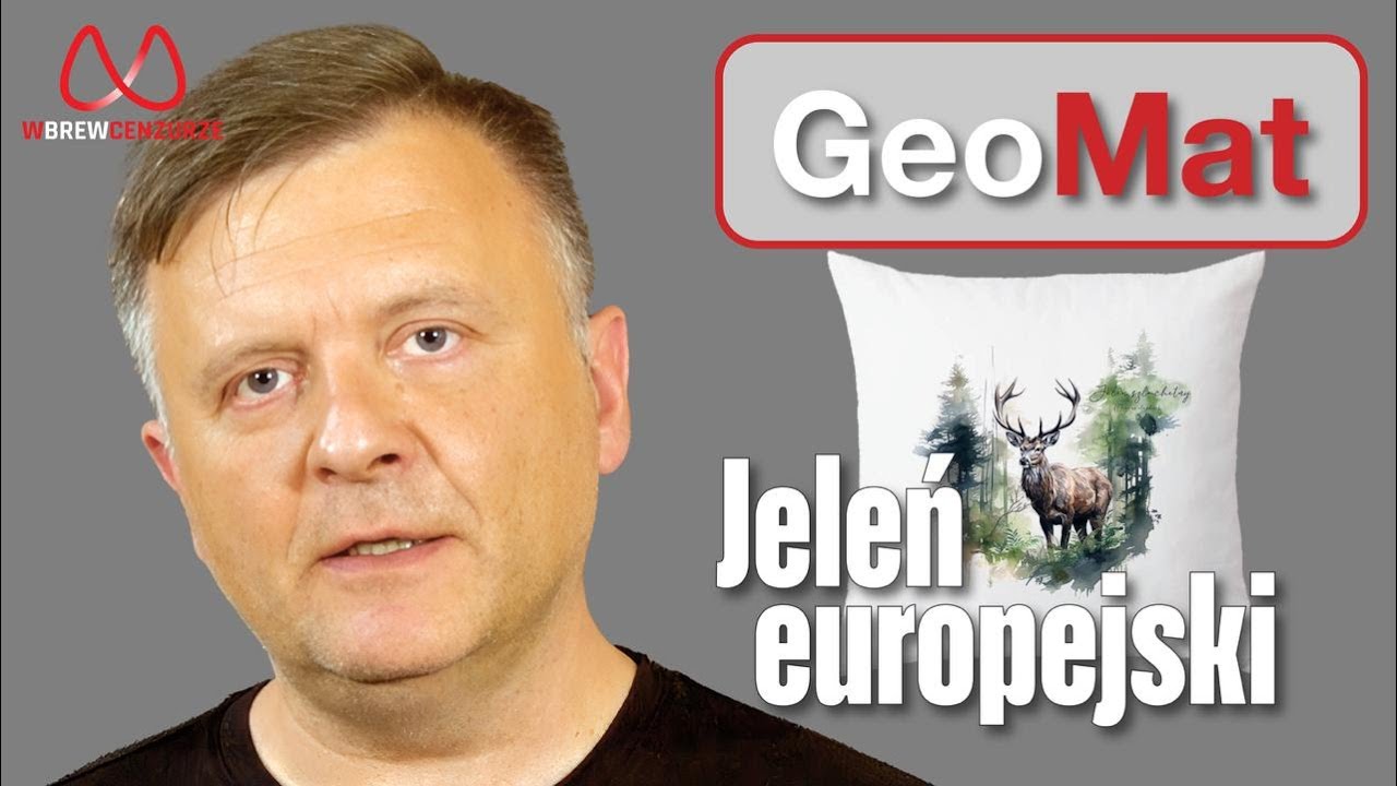 Jeleń europejski