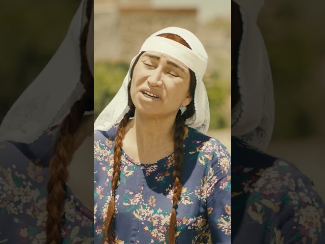 On Dördüzdür Bunlar #shorts #bkm #hükümetkadın #demetakbağ #sermiyanmidyat