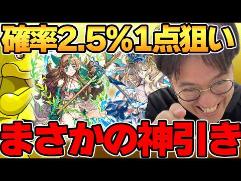 【パズドラ】新キャラ「リューネ＆シルヴィ」1点狙いでスーパードラゴンフェスした結果！！