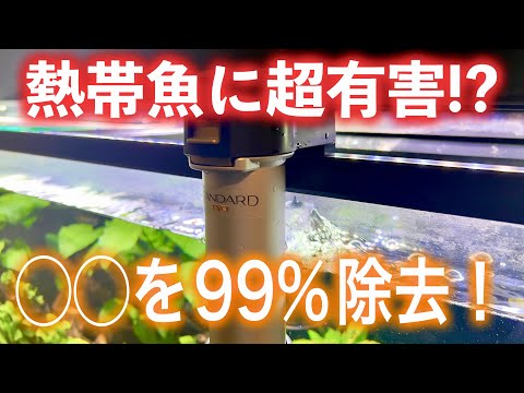 【初心者も安心】熱帯魚に超有害⁉水道水の“あの成分”を99%除去する神アイテム【淡水魚 アウクアリウム】
