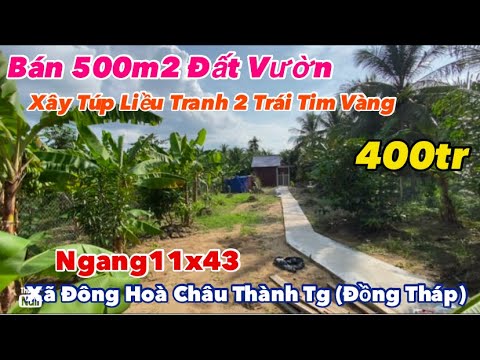 MAP ĐẤT VIỆT - mapdatviet.com Tập 3385 Bán 500m2 Đất Vườn Trồng Chuối Giá 400triệu