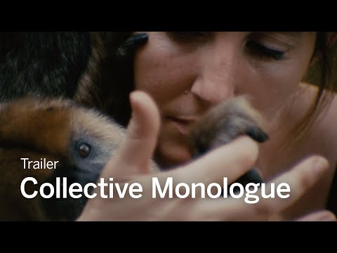 Monólogo colectivo'