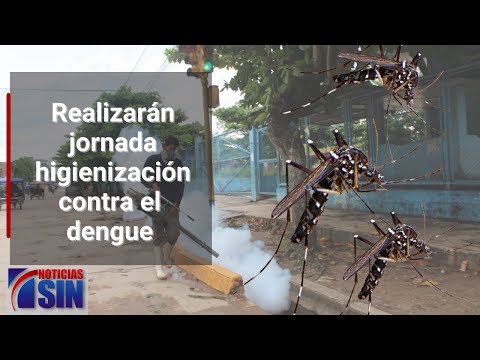 #EmisiónEstelarSIN: Cancino, haitianos y dengue