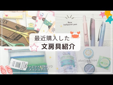 【文房具購入品】ぺんてる&PILOTの限定ボールペン|オンラインストア限定文具|SALEで購入したマステなど