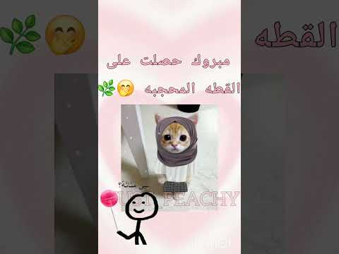 وش طلعتكم، تكفون لايك واشتراككك تكفون 🌿🌿🌿💗💗