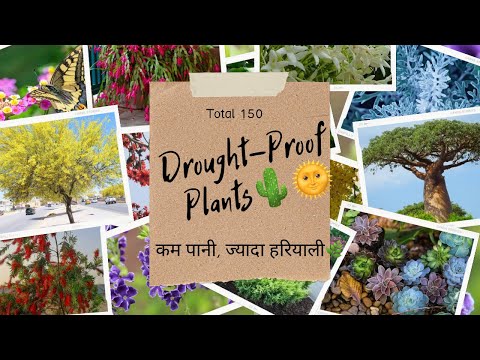 Gardening with Less Water? ☀️150 Drought-Tolerant Plants for Hot Climates 🍃 सूखा प्रतिरोधी पौधे