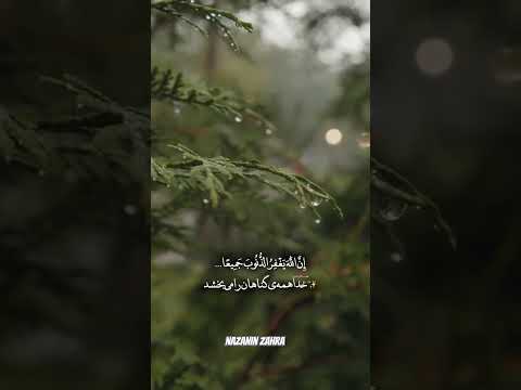 یک دقیقه آرامش ✨خدایا شکرت برای لحظه  هایی که نفهمیدم چطورگذشت برای مسیرهایی که بانورتوروشن شد🤲🏻🌱♾️