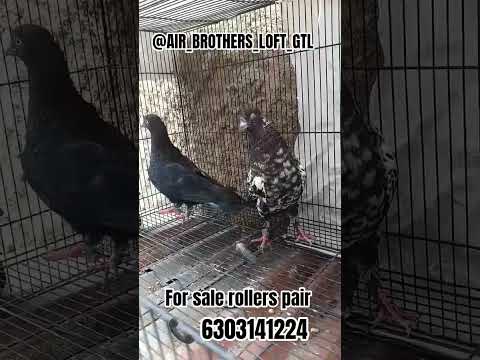 @air_brothers_loft_gtl#forsale rollers pair#📞6303141224 #📍Guntakal #like #share #comment #subscribe
